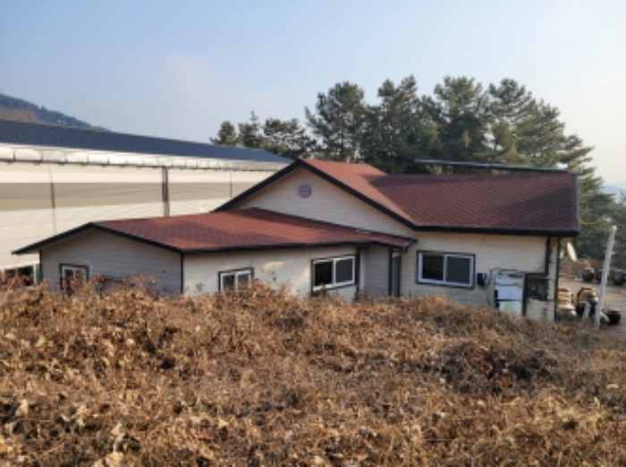 물건 사진 1