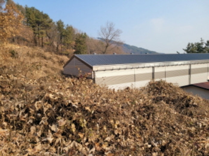 물건 사진 6