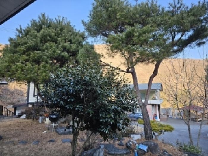 물건 사진 16