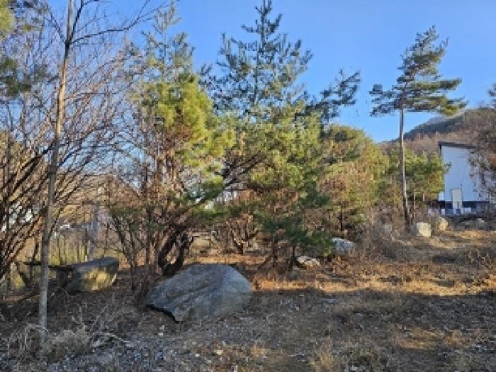 물건 사진 4