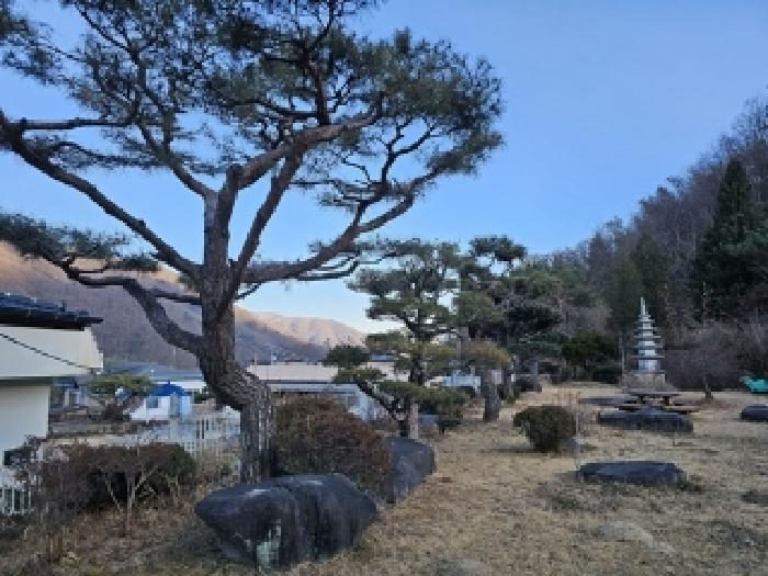 물건 사진 32