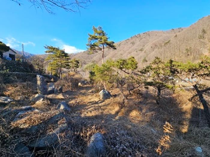 물건 사진 7