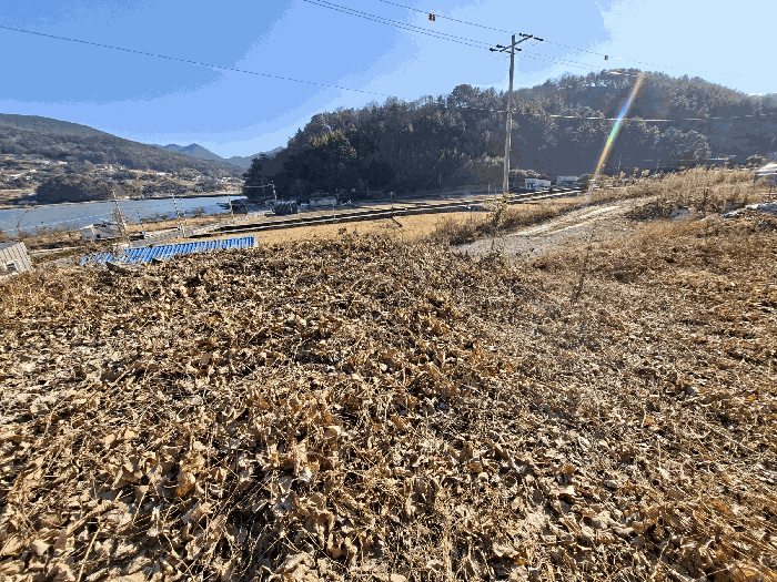 물건 사진 18