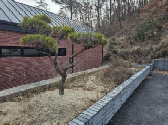 물건 사진 5