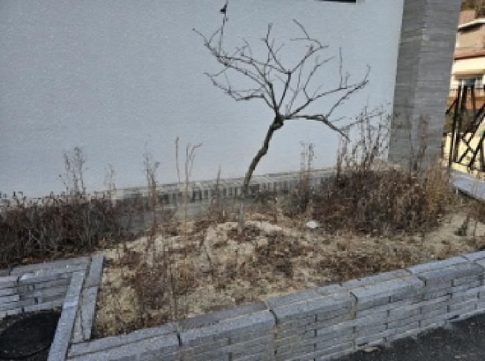 물건 사진 2