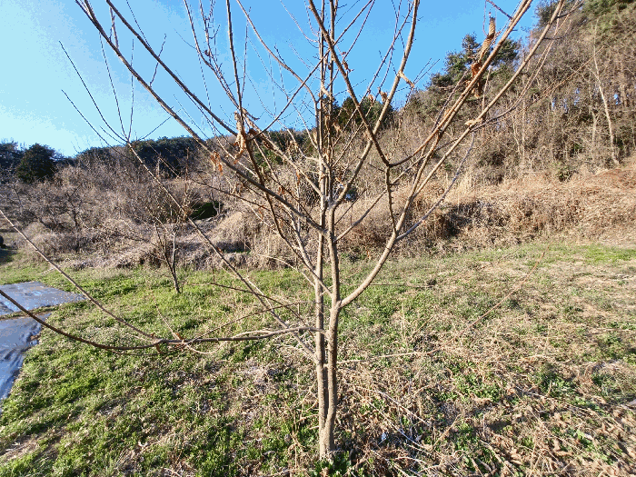 물건 사진 19