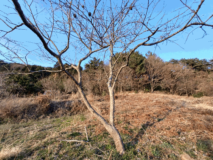 물건 사진 21