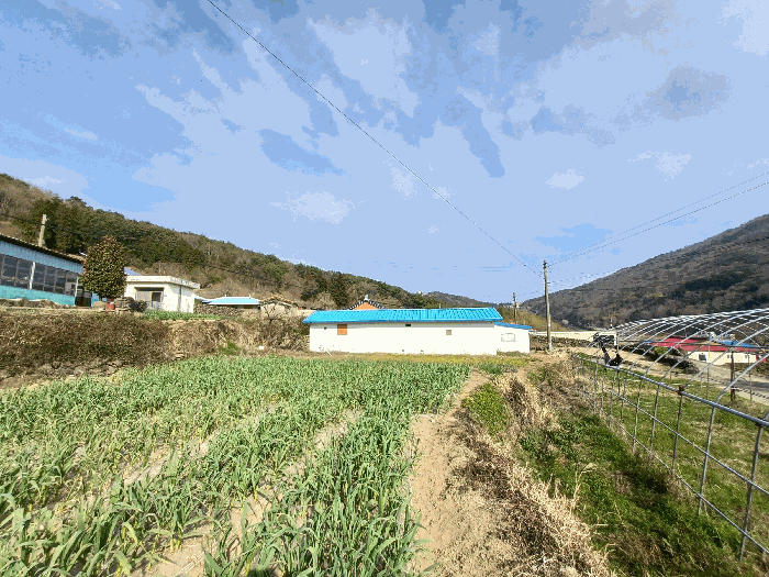 물건 사진 30