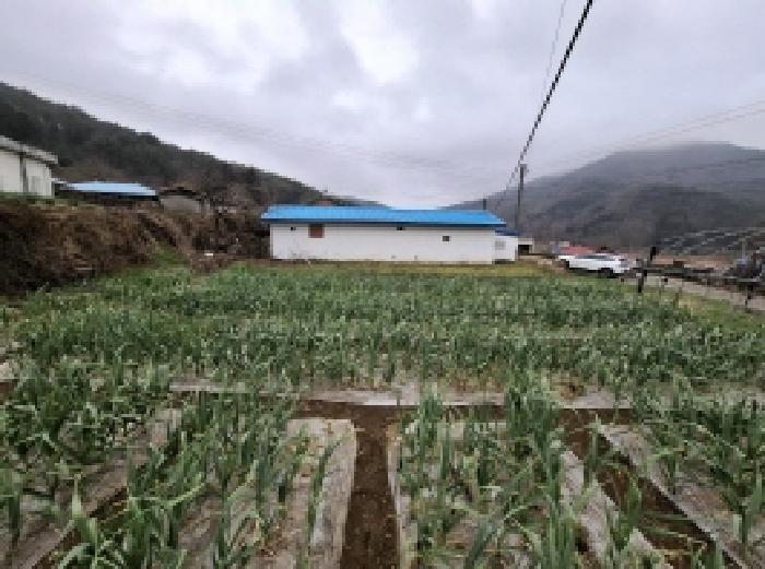 물건 사진 4