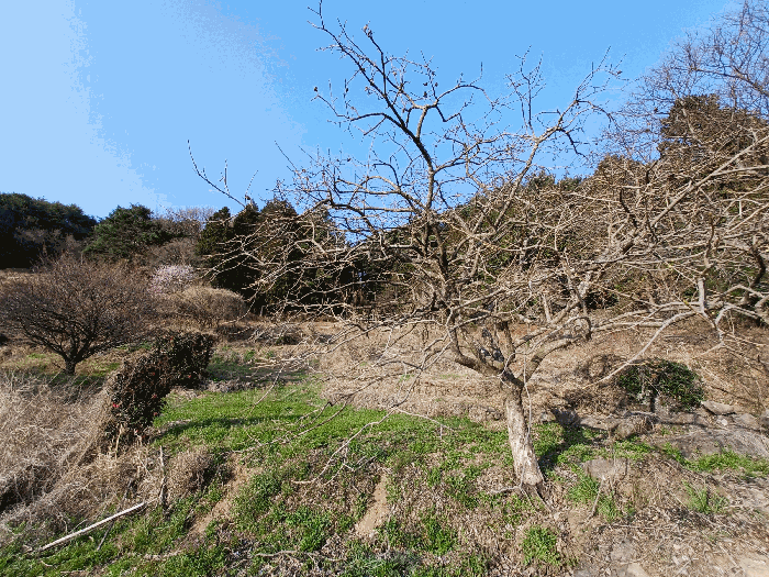 물건 사진 35