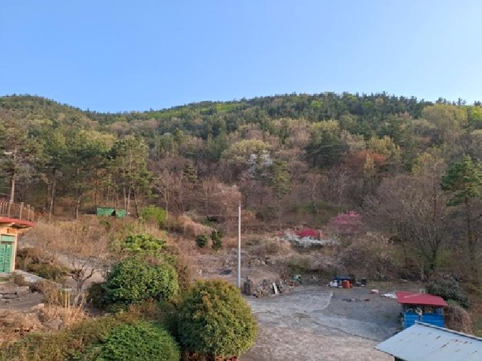 물건 사진 16