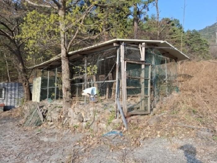 물건 사진 21