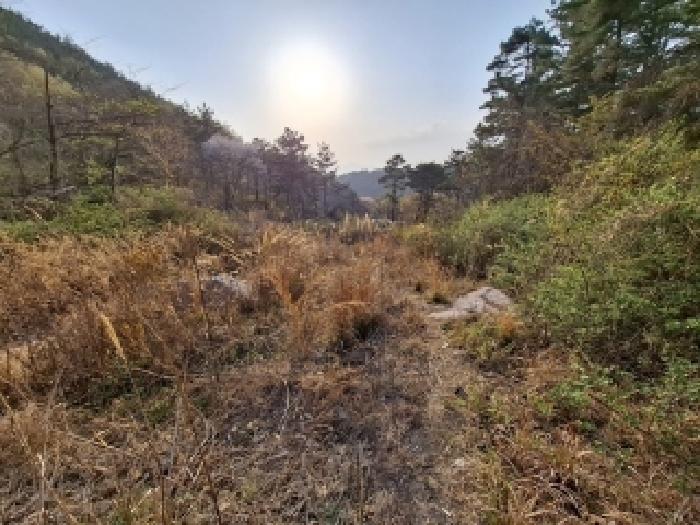 물건 사진 25