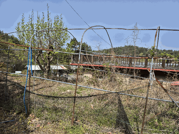 물건 사진 44