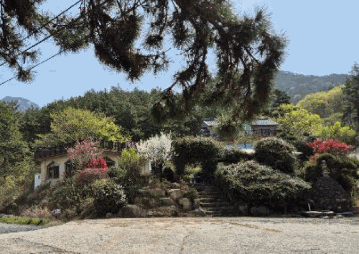 물건 사진 63