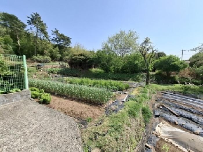 물건 사진 6