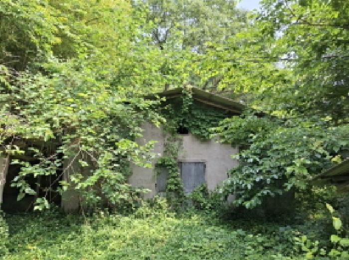 물건 사진 2