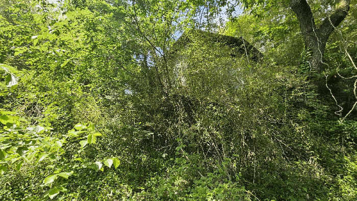 물건 사진 19