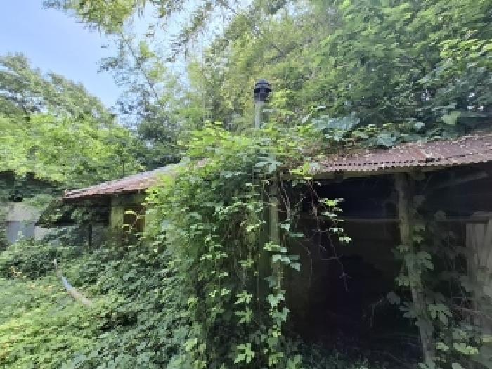 물건 사진 8