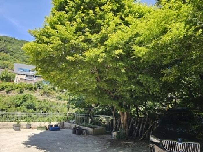 물건 사진 5