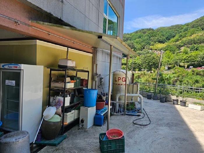 물건 사진 8