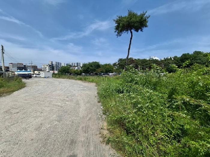 물건 사진 7