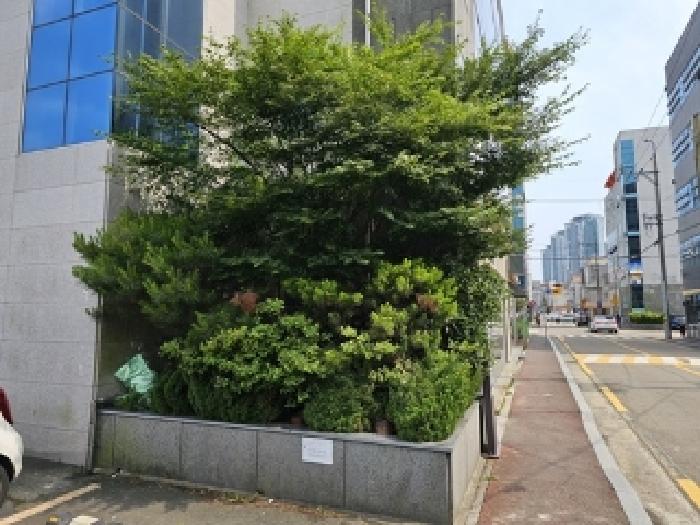 물건 사진 2