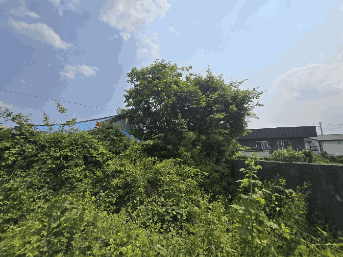 물건 사진 19