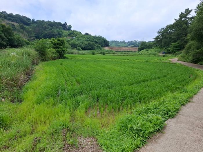 물건 사진 11