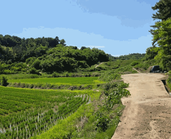 물건 사진 26