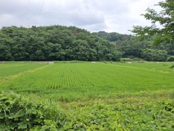 물건 사진 8