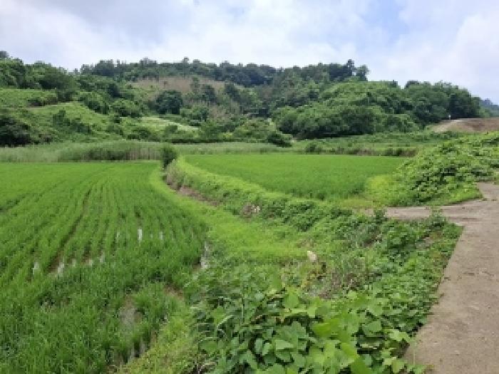 물건 사진 9