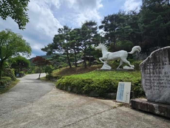 물건 사진 18