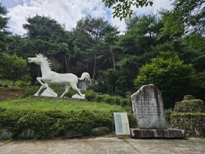 물건 사진 19