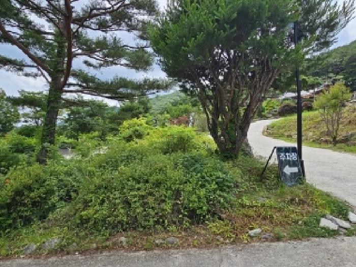물건 사진 25