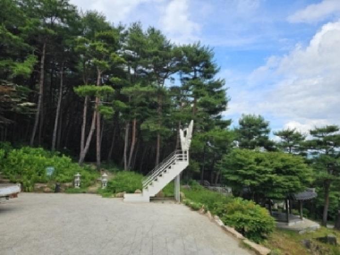 물건 사진 33