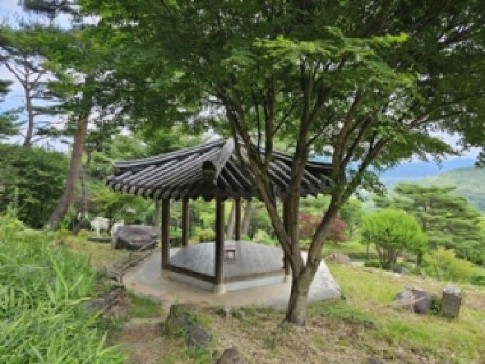 물건 사진 36
