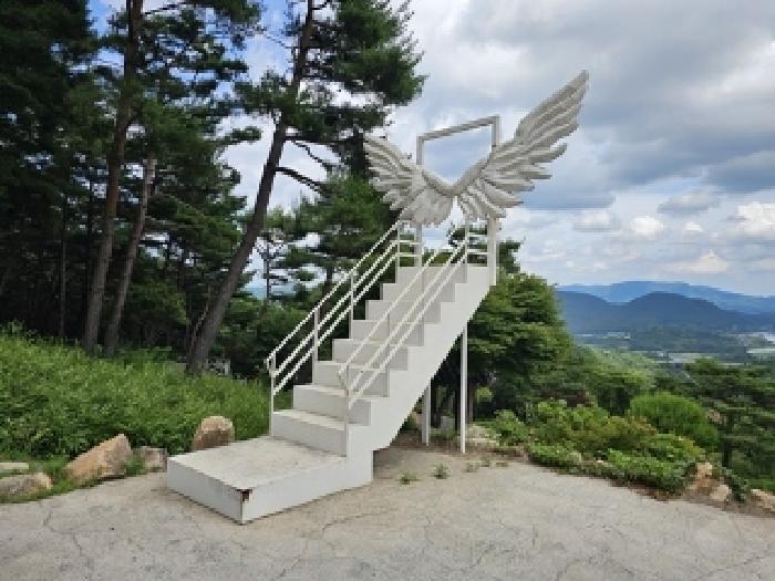 물건 사진 37