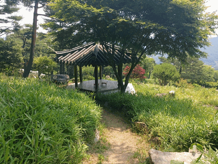 물건 사진 51