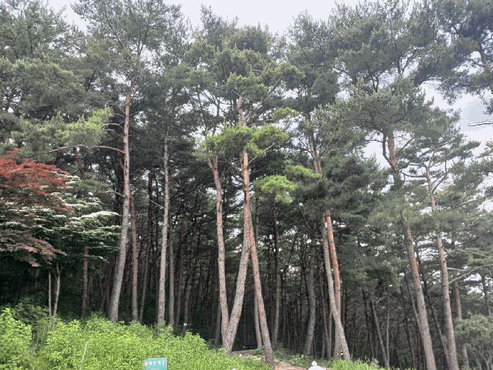 물건 사진 57