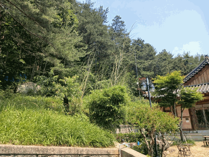 물건 사진 58