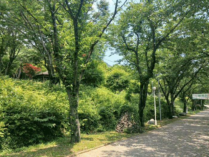 물건 사진 71