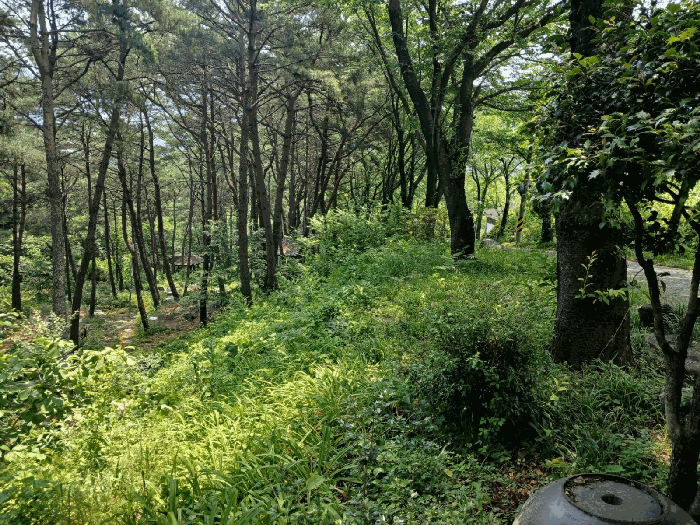 물건 사진 72