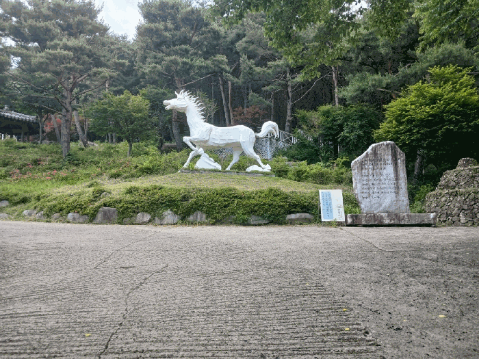 물건 사진 76