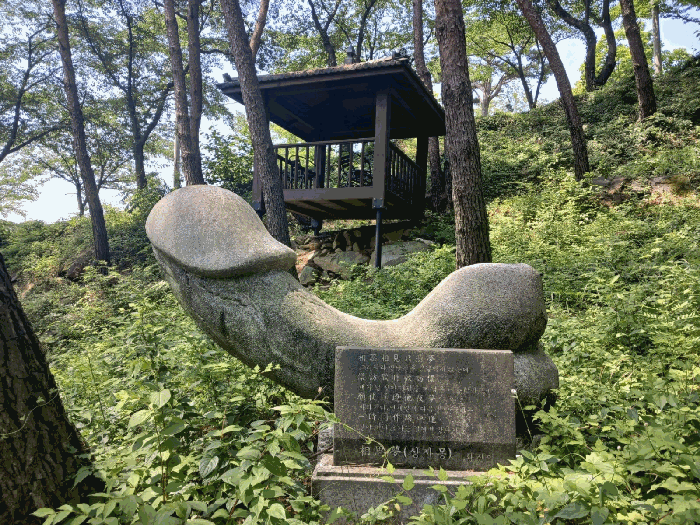 물건 사진 82