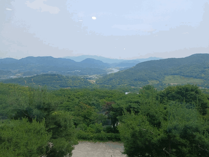 물건 사진 84