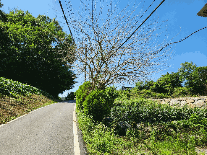 물건 사진 28