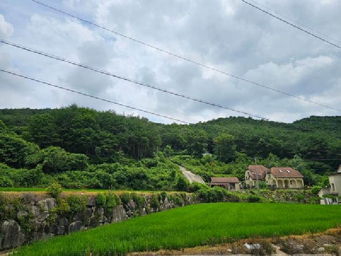 물건 사진 17