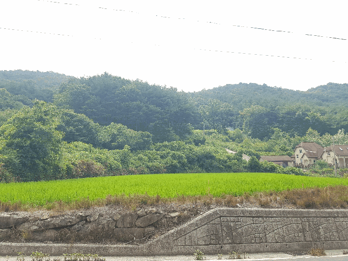 물건 사진 28