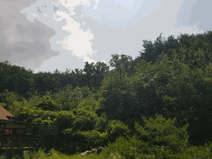 물건 사진 30